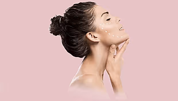 Estedonau Firması Hakkında